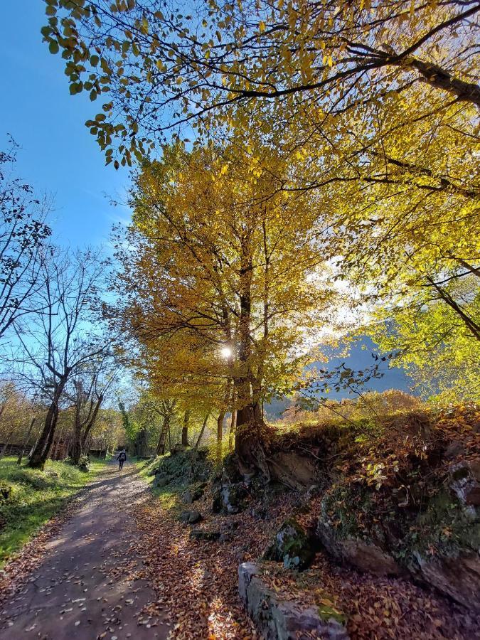 Villaggio Turistico Il Lago Dorato 카를라조 외부 사진