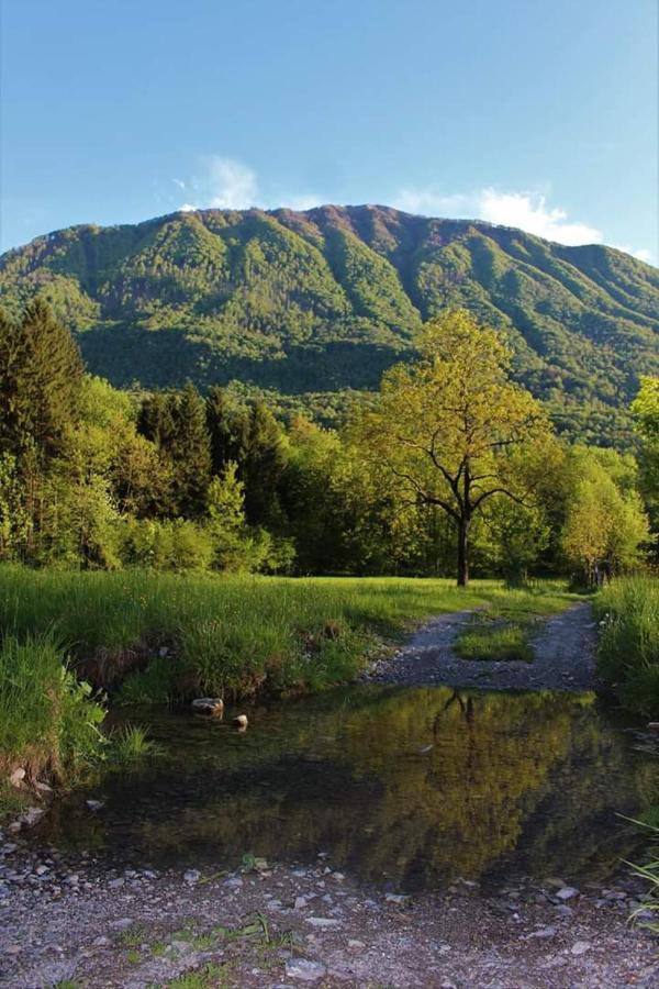 Villaggio Turistico Il Lago Dorato 카를라조 외부 사진